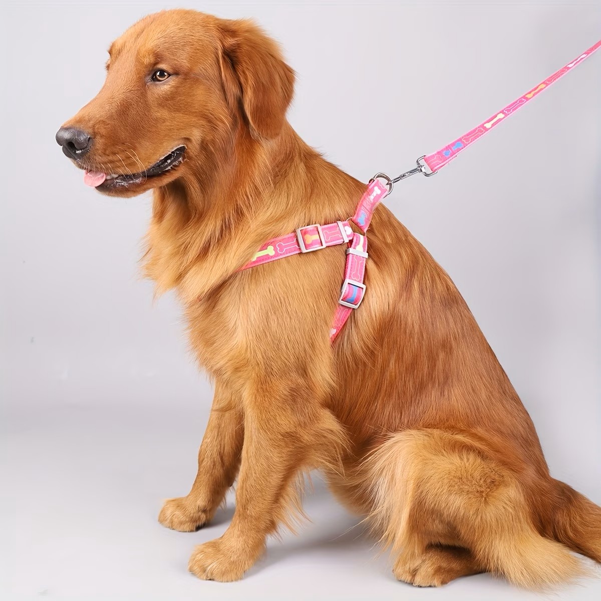 Ayarlanabilir Köpek Tasması, H - D Ring Strap incelemesi ve fiyatı