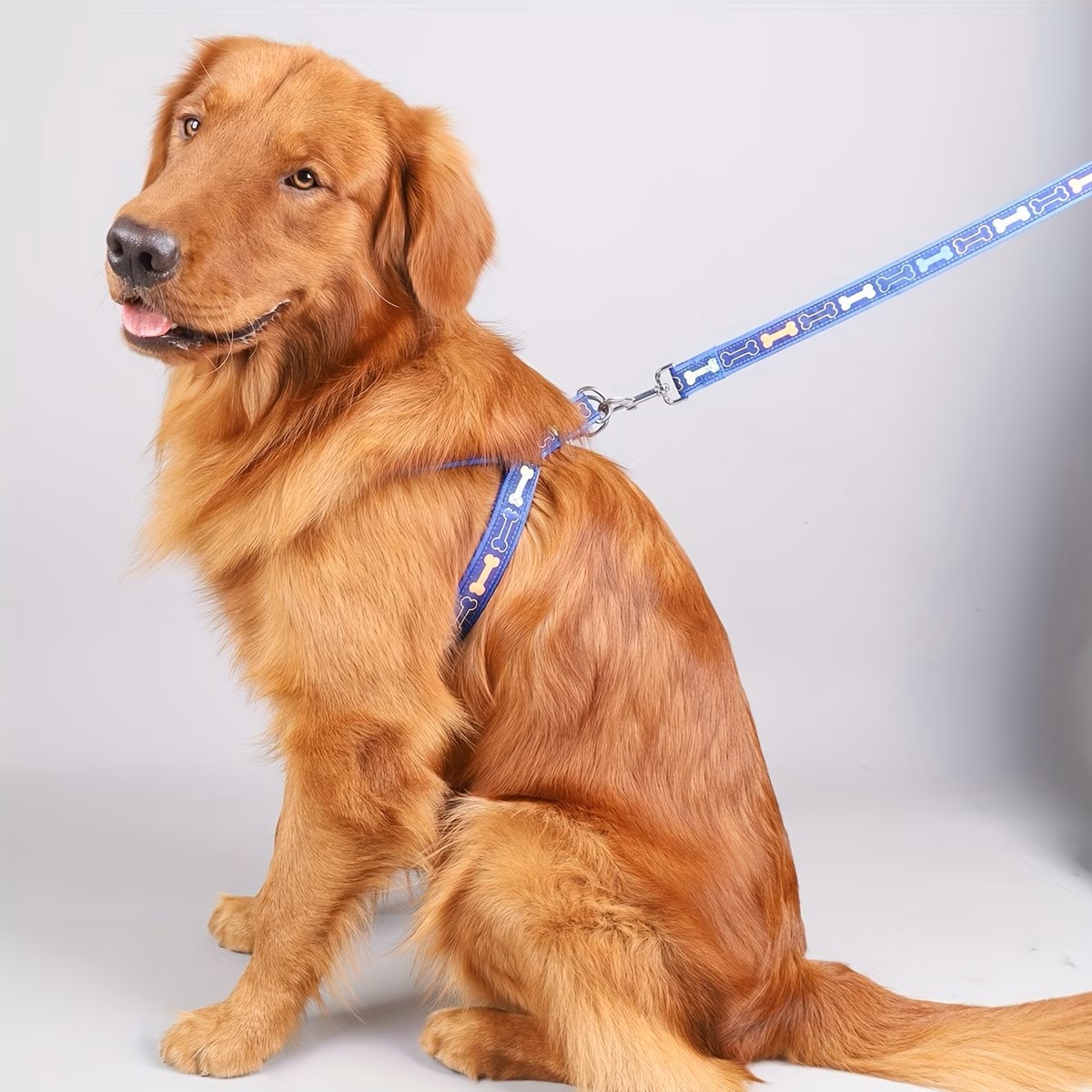 Ayarlanabilir Köpek Tasması, H - D Ring Strap incelemesi ve fiyatı